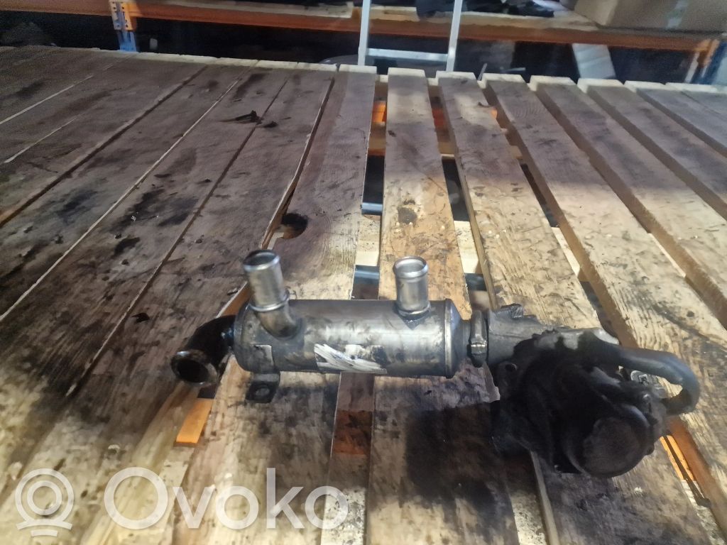 EGR valve cooler