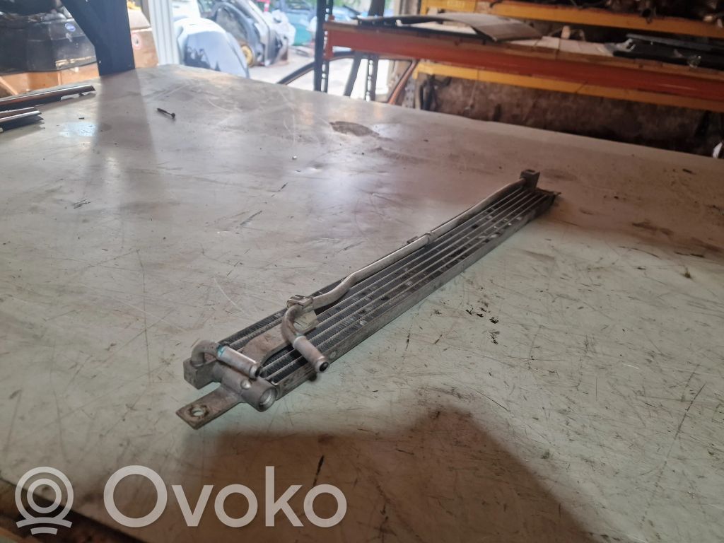 Buick Encore I Optional radiator 