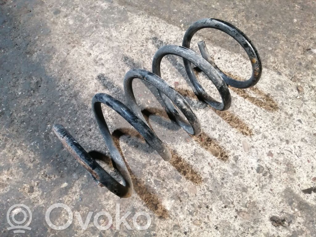 Rear coil spring