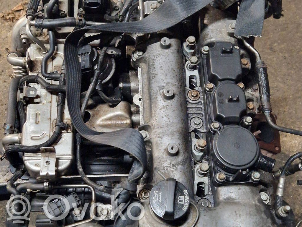 Motor   Z22D1
