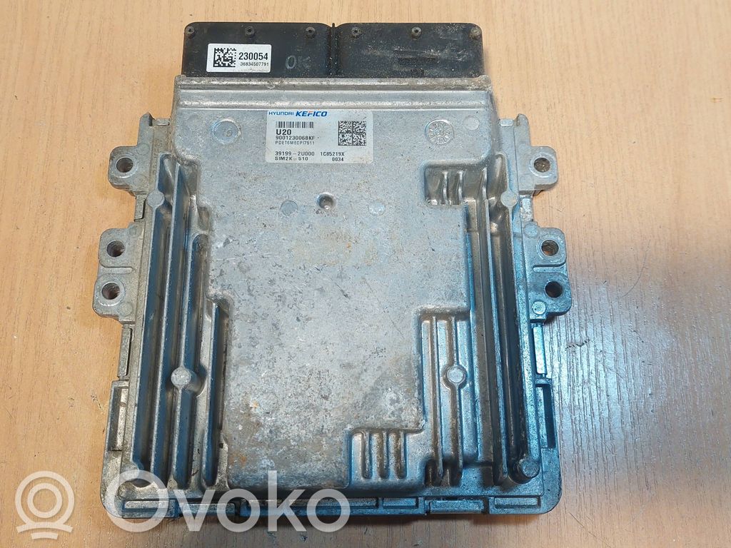 Engine control unit/module ECU   391992U000,9001230068KF,SIM2K510