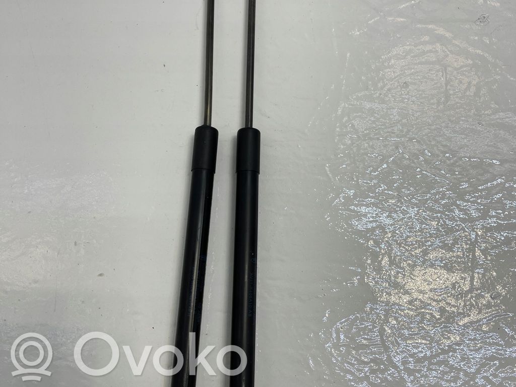 Tailgate/trunk strut/damper   835789