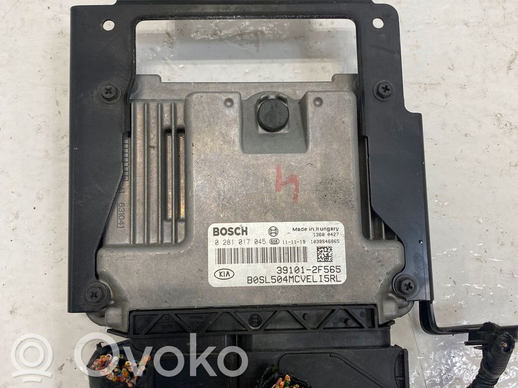 Engine control unit/module   391012F565,2F565,39101