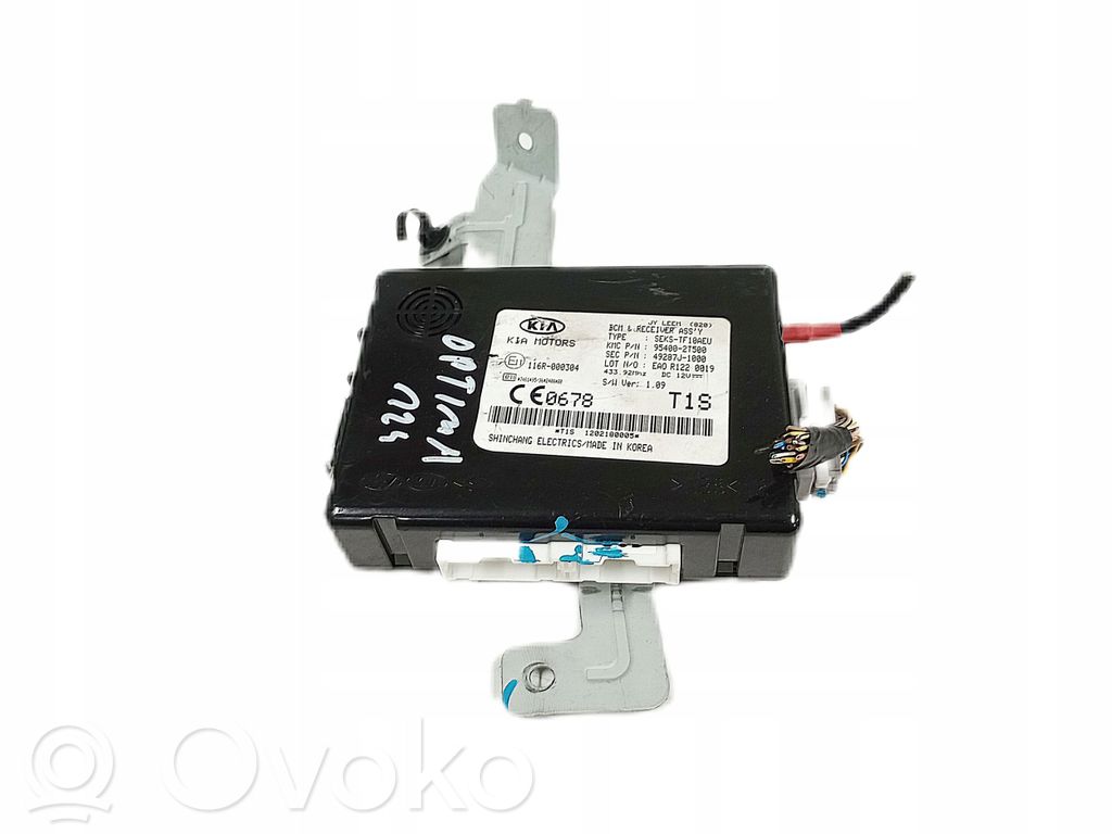 Other control units/modules   954002T500,2T500