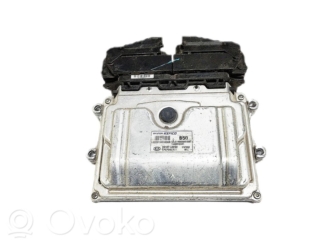 Engine control unit/module   3910703250