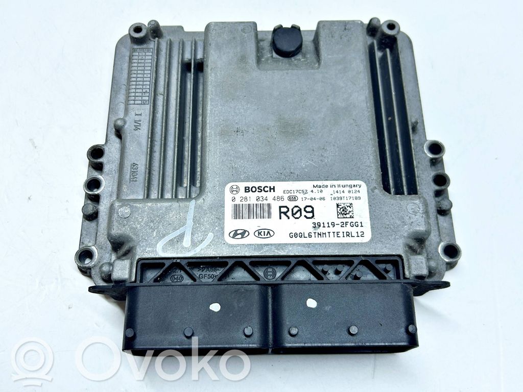 Engine control unit/module   0281034486,391192FGG1