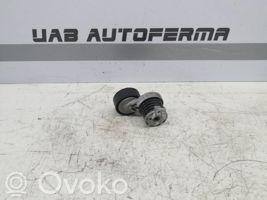 Renault Clio IV Generator/alternator belt tensioner 