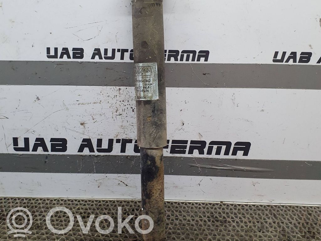 Ford Focus Amortiguador trasero 