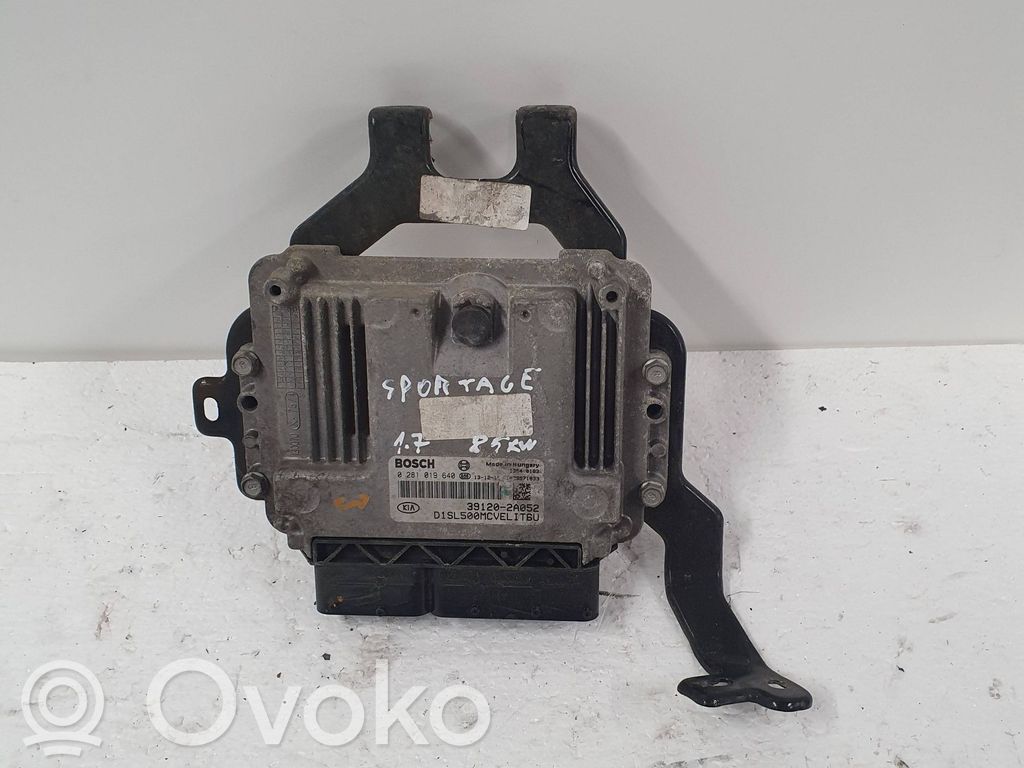 Engine control unit/module   391202A052