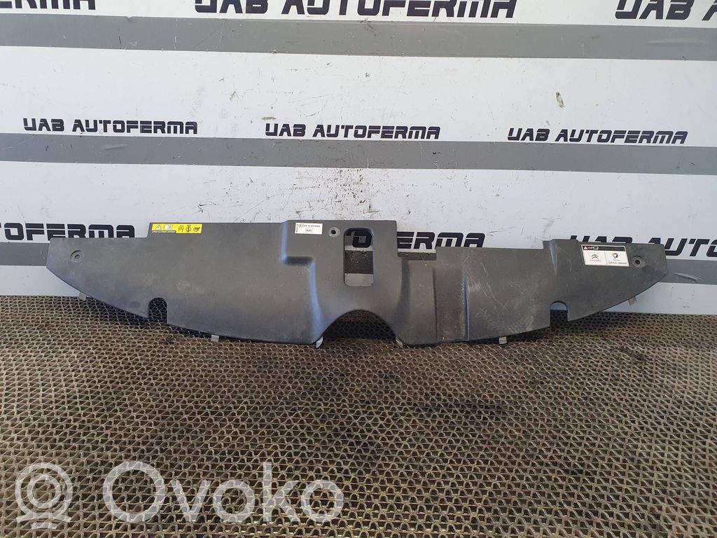 Citroen C4 II Picasso Moldura embellecedora del gancho del capó/tapa del motor 