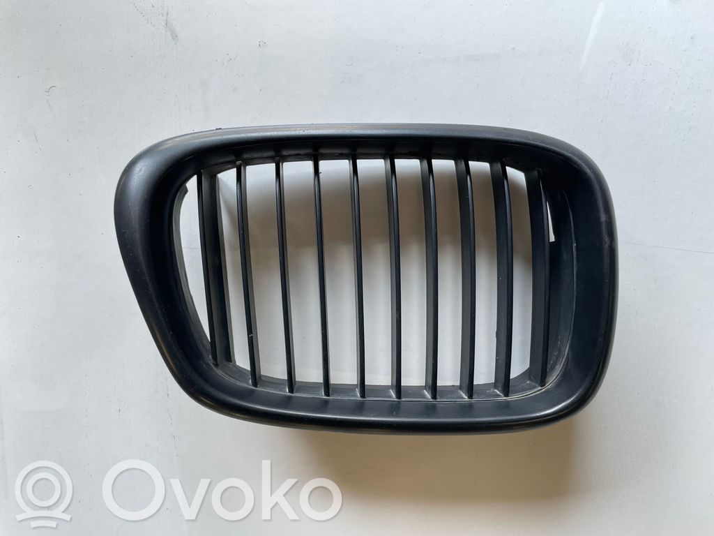 Front grill   81593140
