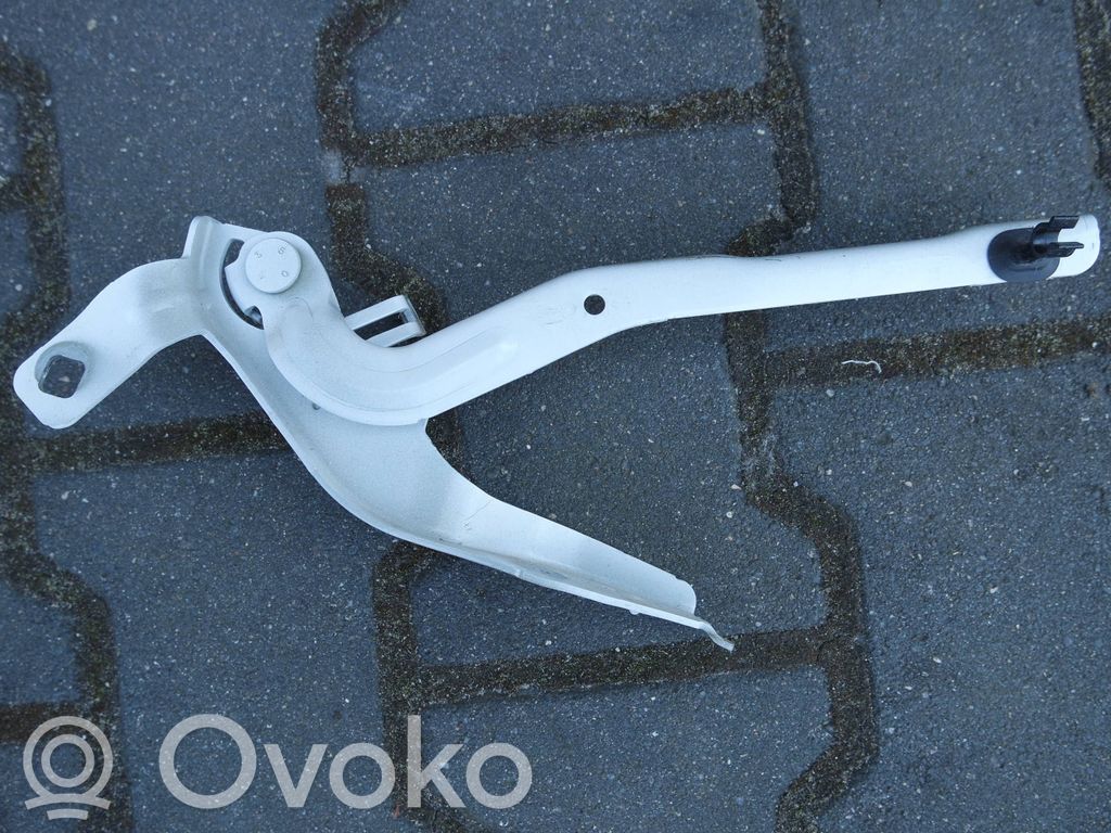 Citroen C4 III e-C4 Engine bonnet/hood hinges 