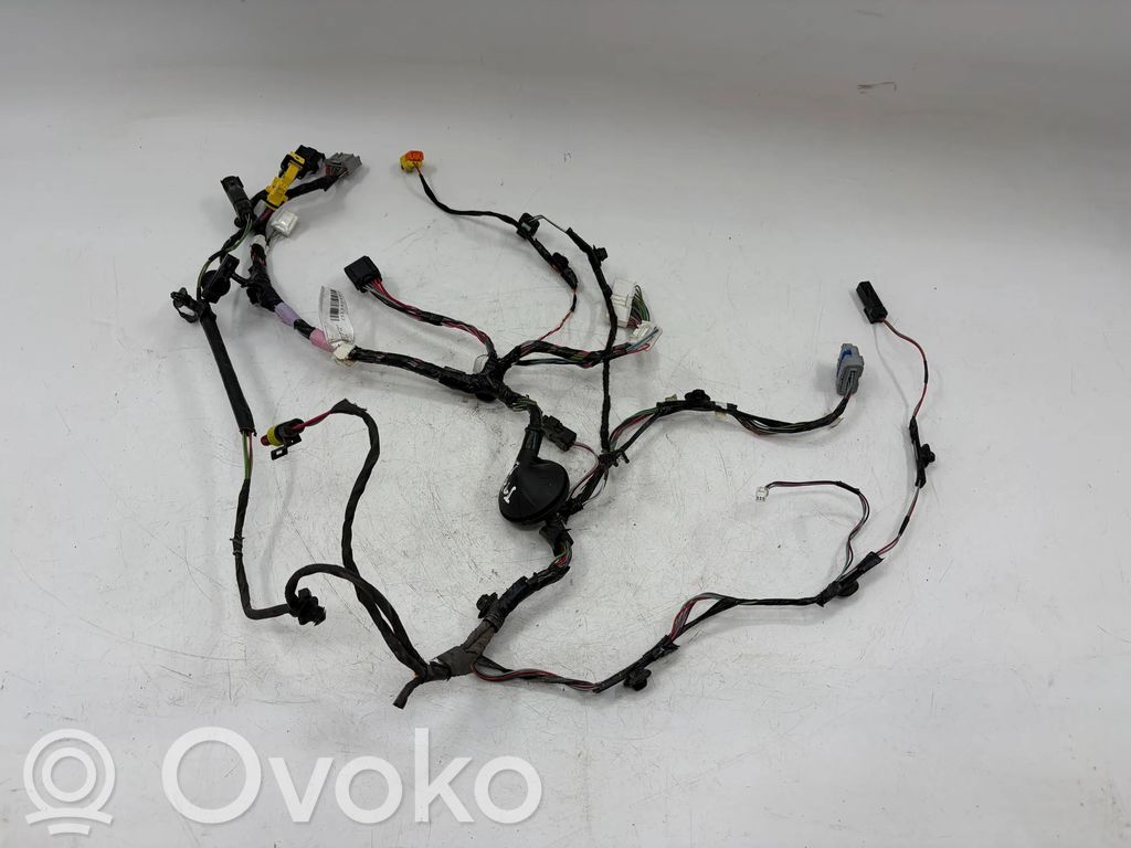 Tesla Model X Cableado de puerta trasera 