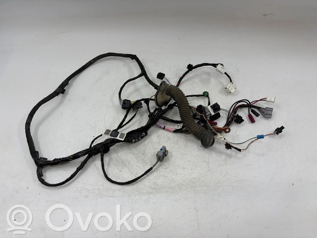 Cableado de puerta delantera   103243200G,103243200G