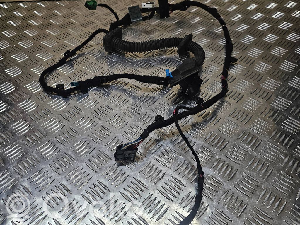 Cablaggio porta anteriore   6913124