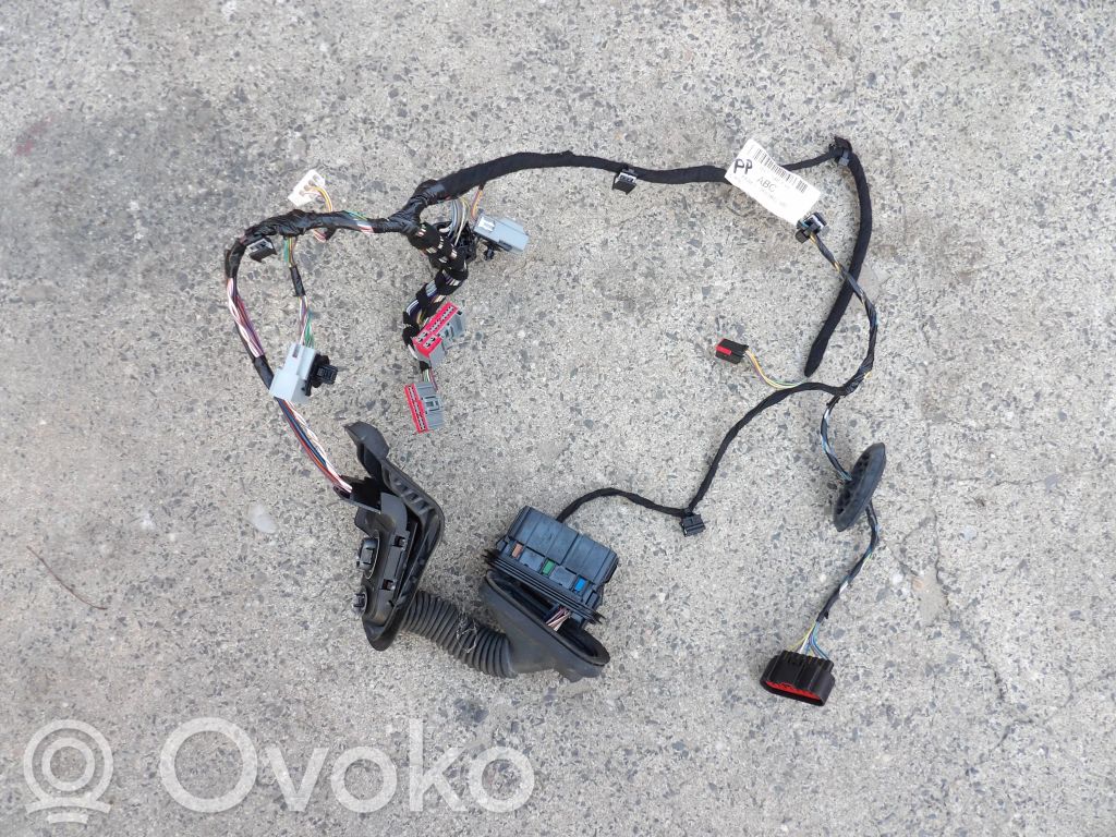 Ford Fiesta Cablaggio/alloggiamento cablaggio della portiera anteriore 