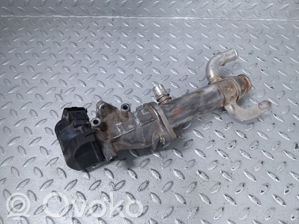 Citroen C5 EGR dzesētājs 
