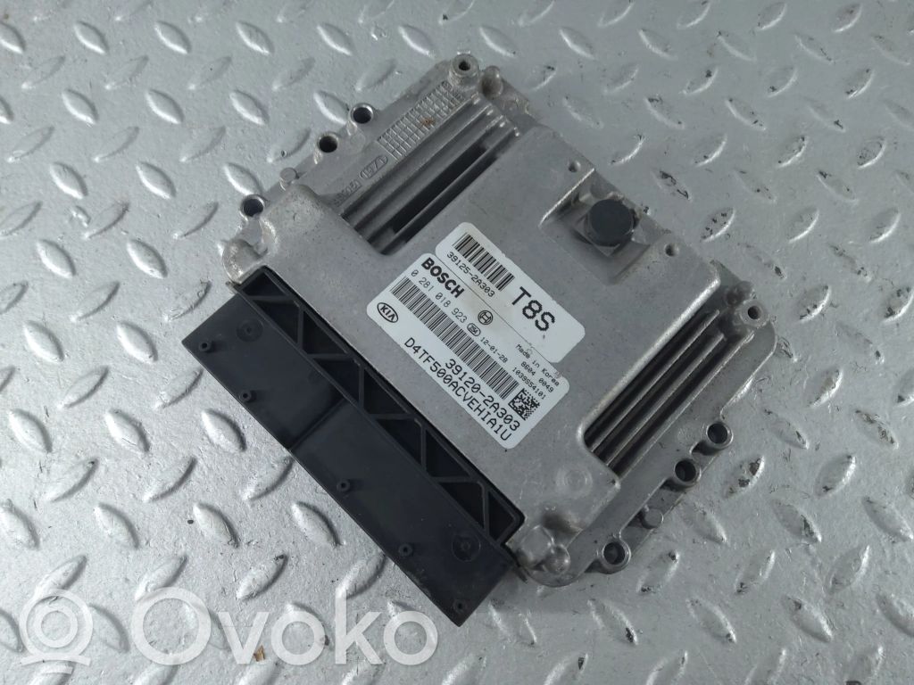 Engine control unit/module   391202A303,0281018923,391202A303