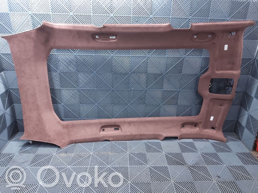 BMW XM Dachhimmel 