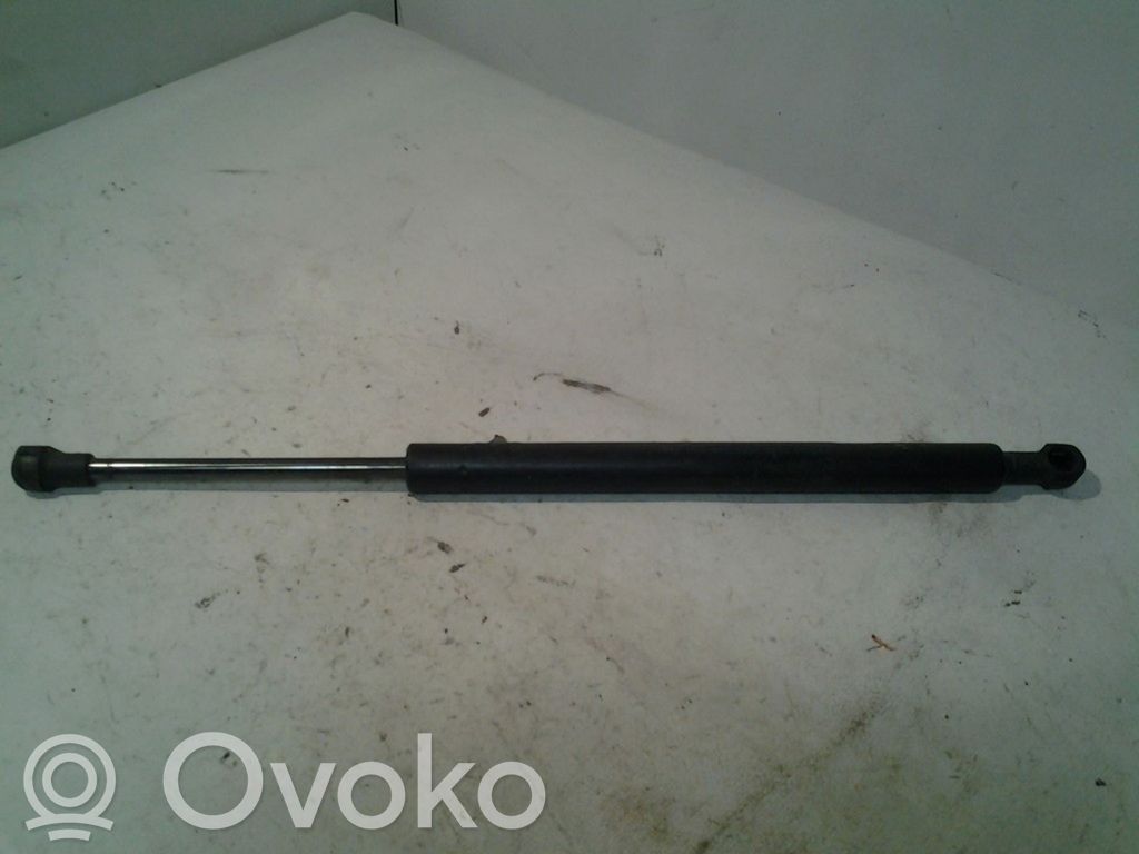 Tailgate/trunk strut/damper   01612390F
