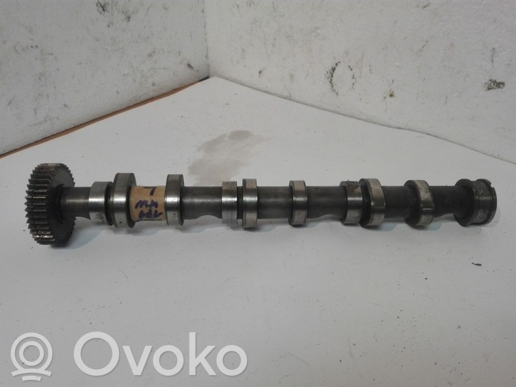 Sadales vārpsta   059102CB,030049487