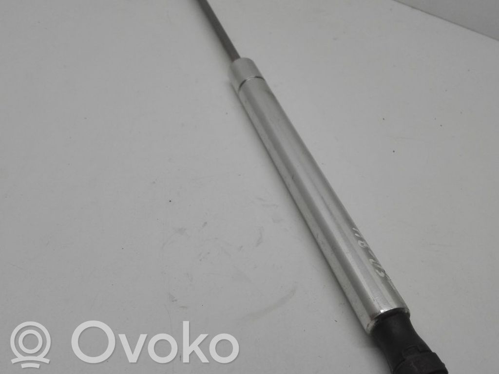 Audi A8 S8 D3 4E Tailgate/trunk strut/damper 