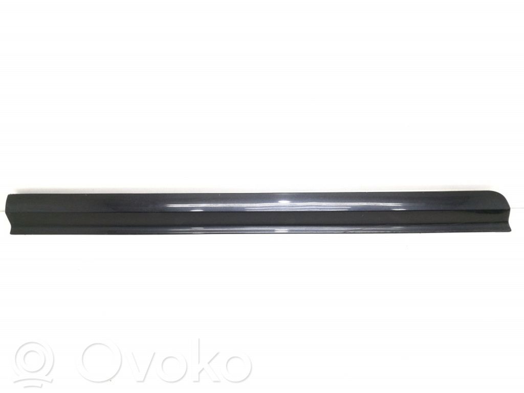 Audi A8 S8 D3 4E Etuoven lista (muoto) 