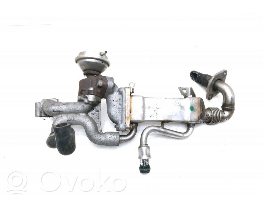 Audi A8 S8 D3 4E EGR dzesētājs 