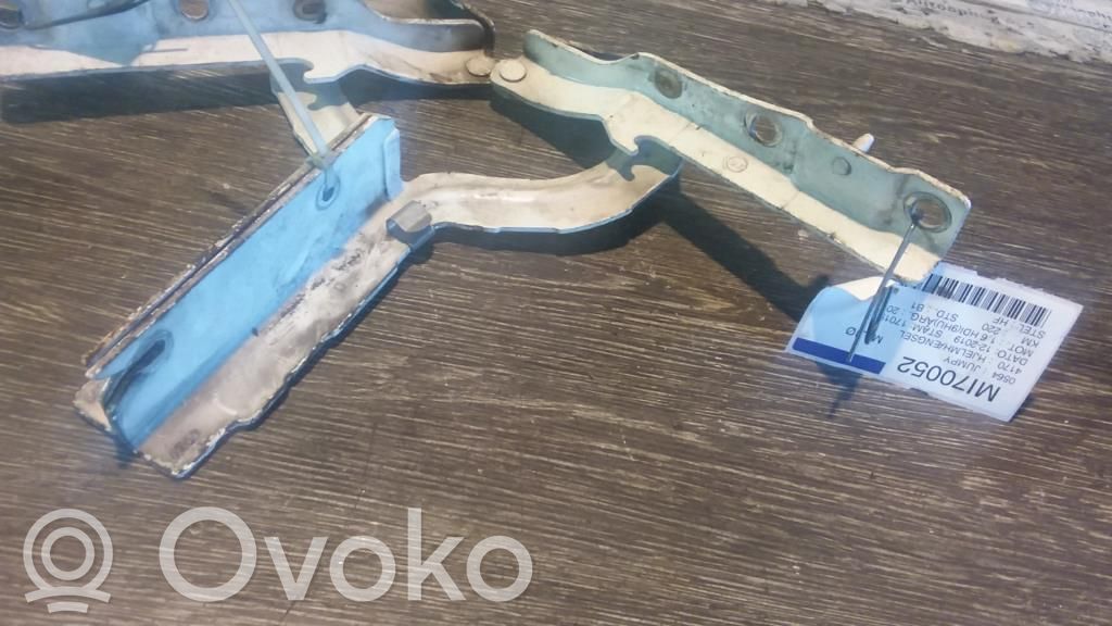 Engine bonnet/hood hinges   791296