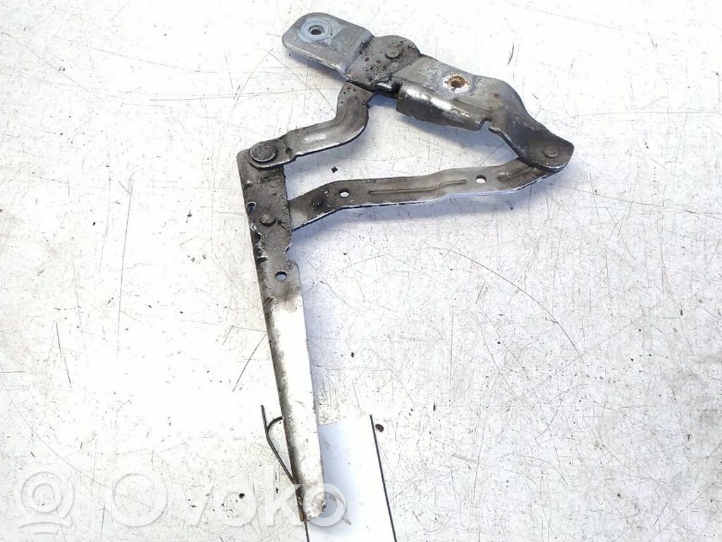 Cerniere del vano motore/cofano   1828573