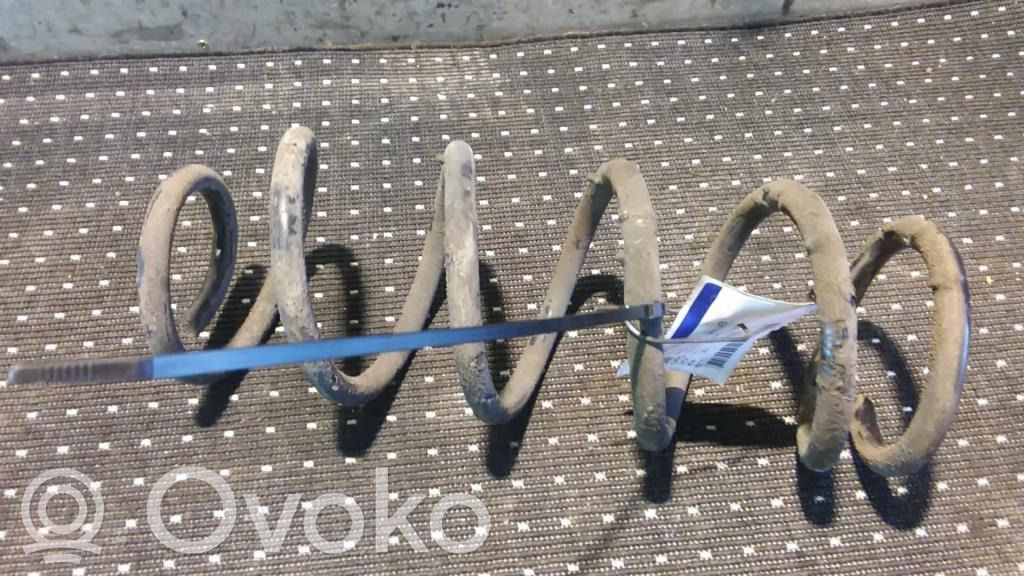 Rear coil spring