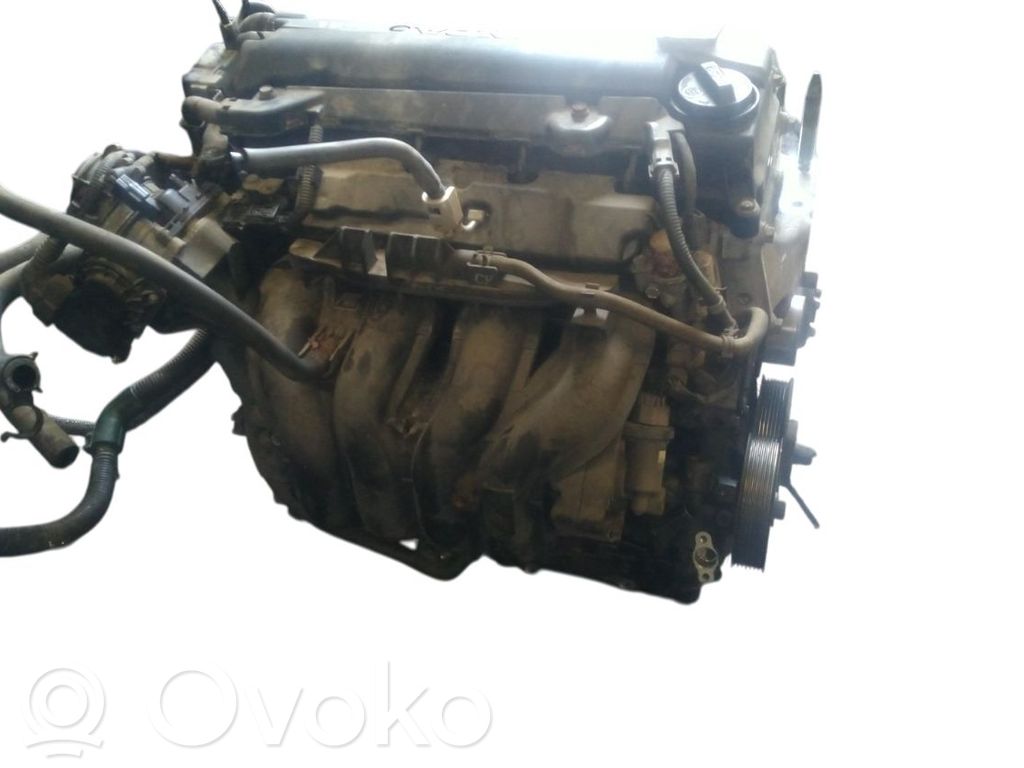 Variklis   10002RNAE00