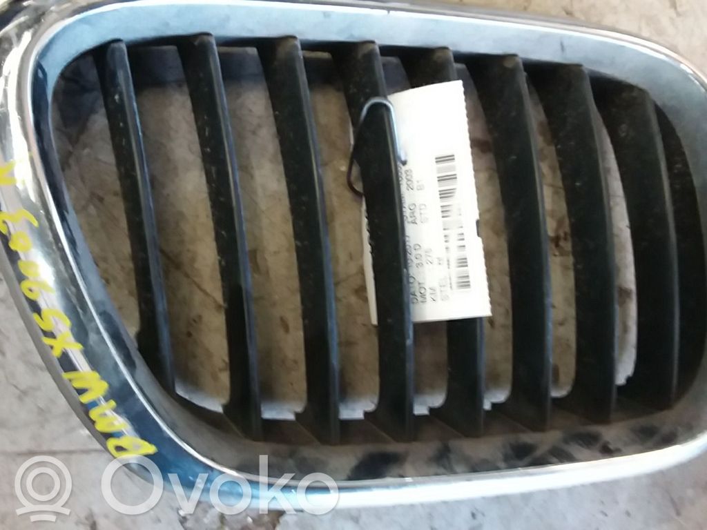Front grill   51137113734