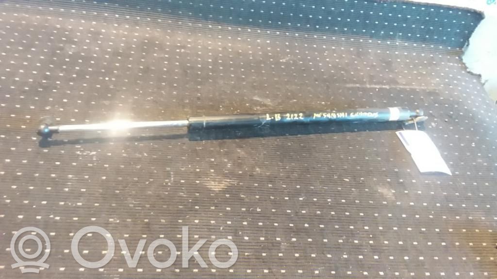 Amortizor hayon