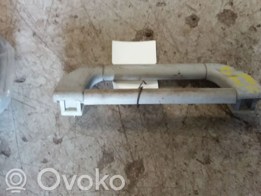 BMW X5 E53 Manecilla interna puerta delantera 
