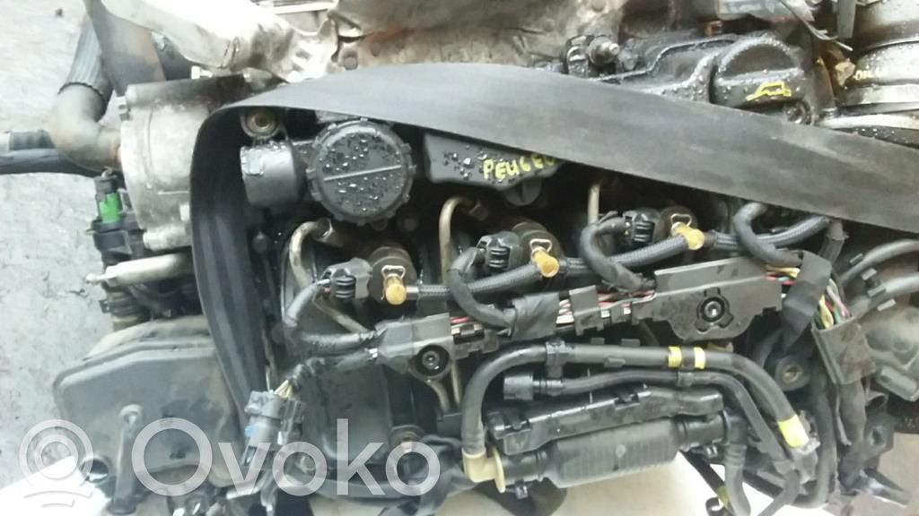 Motore   0135QF