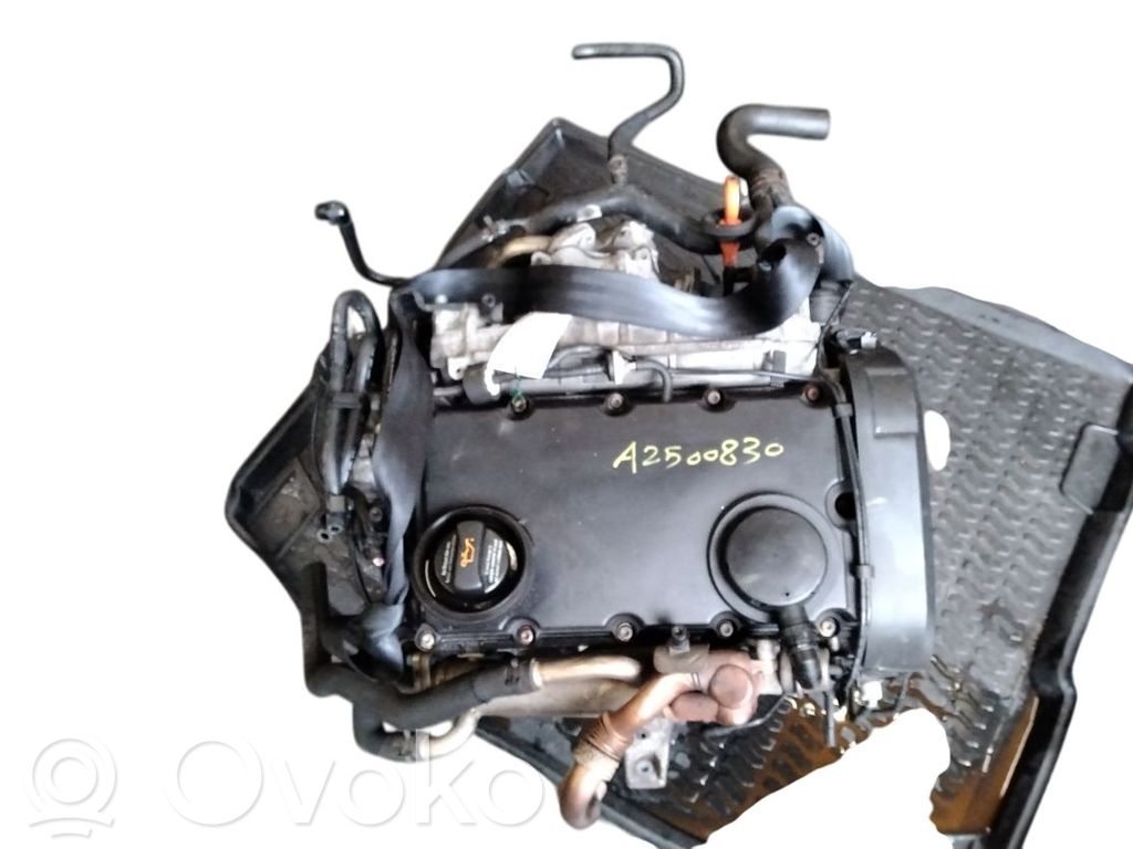 Motor   03G100033T