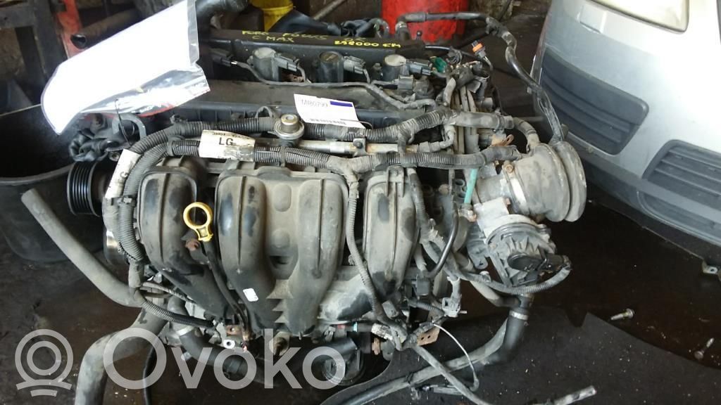 Motor