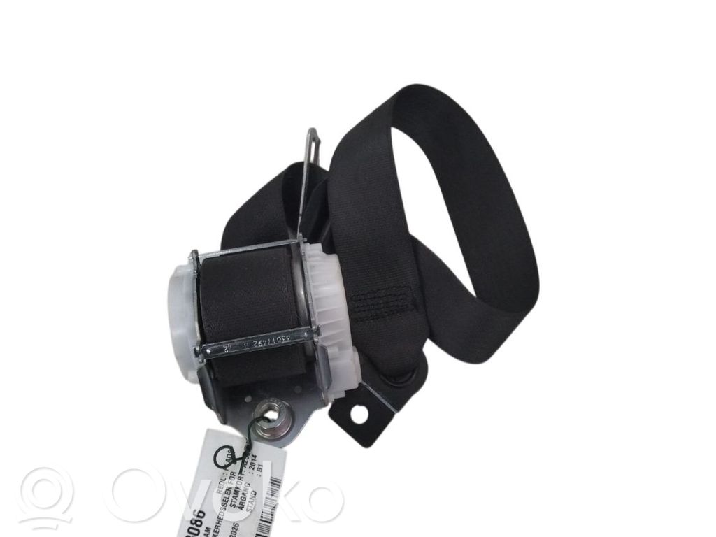 Cinturón delantero   13357729