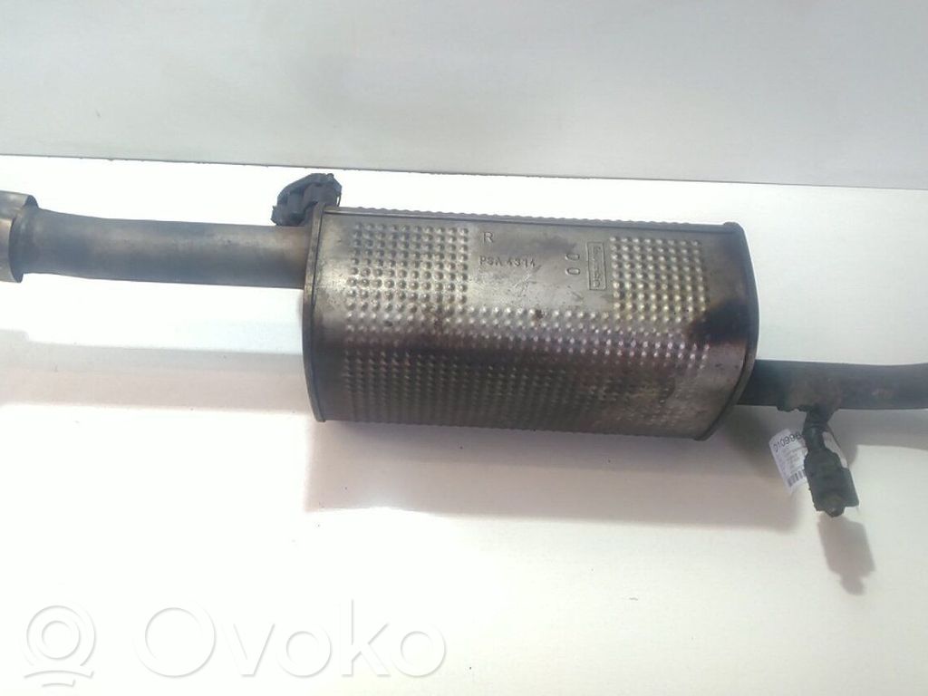 Duslintuvas   1607411780