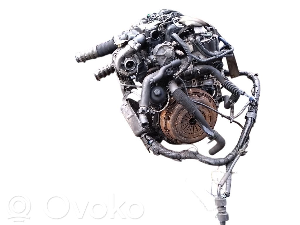 Engine   Y64202300