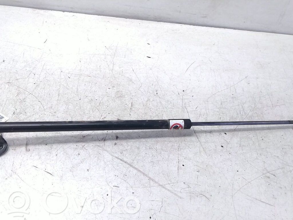 Tailgate/trunk strut/damper   1803164