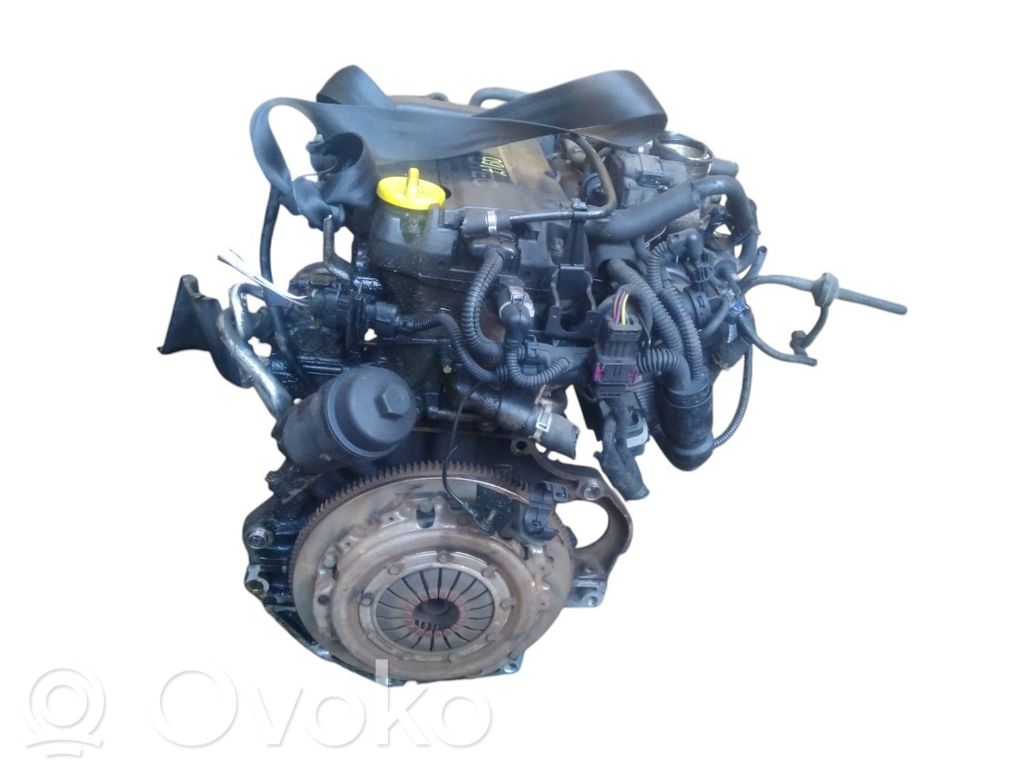 Motor