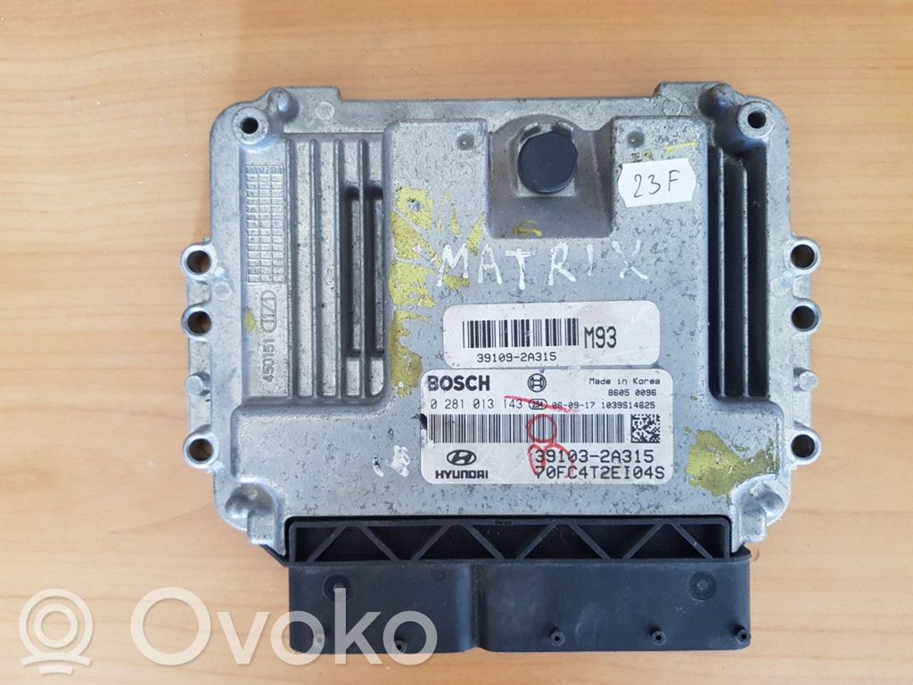 Hyundai Matrix Engine control unit/module 