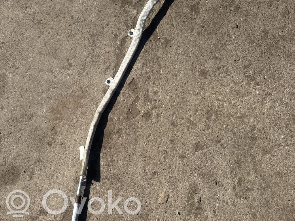 Audi A8 S8 D3 4E Jumta gaisa spilvens 