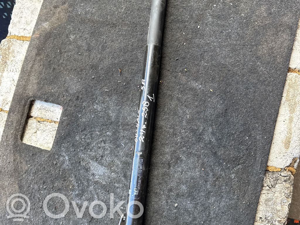 Subaru Outback (BT) Amortiguador/puntal del maletero/compartimento de carga 