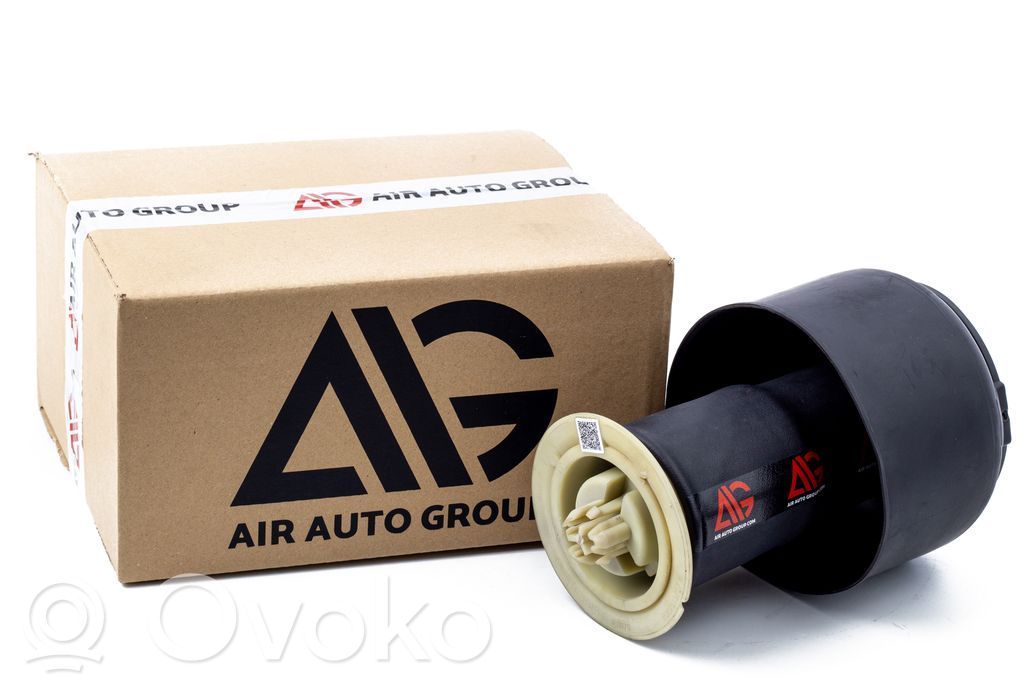 BMW 5 F10 F11 Sacca a pressione sospensione/ammortizzatore posteriore 