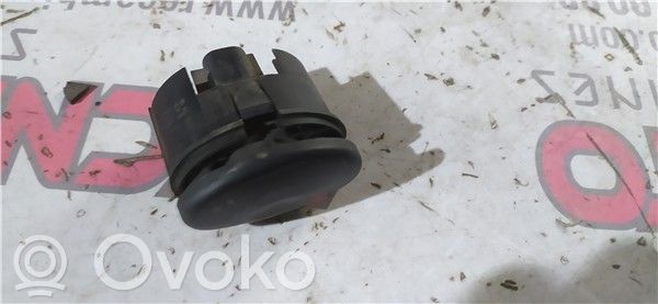 Windscreen/window heater switch   1001381