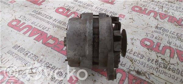 Alternator   1204069