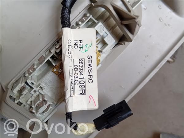 Renault Kangoo I Izolare fonică plafon 